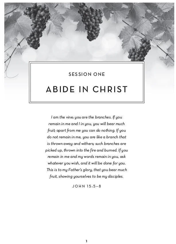 The Abide Bible Course Study Guide plus Streaming Video: Five Practices to Help You Engage with God Through Scripture - Image 5