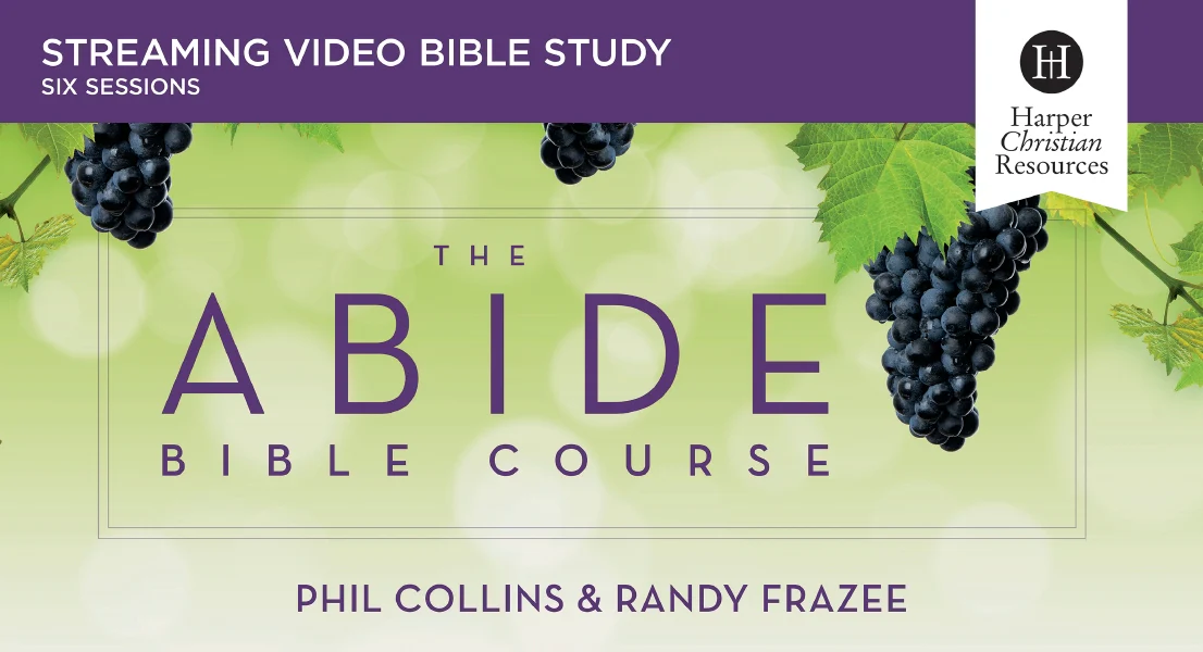 The Abide Bible Course Video Study: Five Practices to Help You Engage with God Through Scripture - Image 4