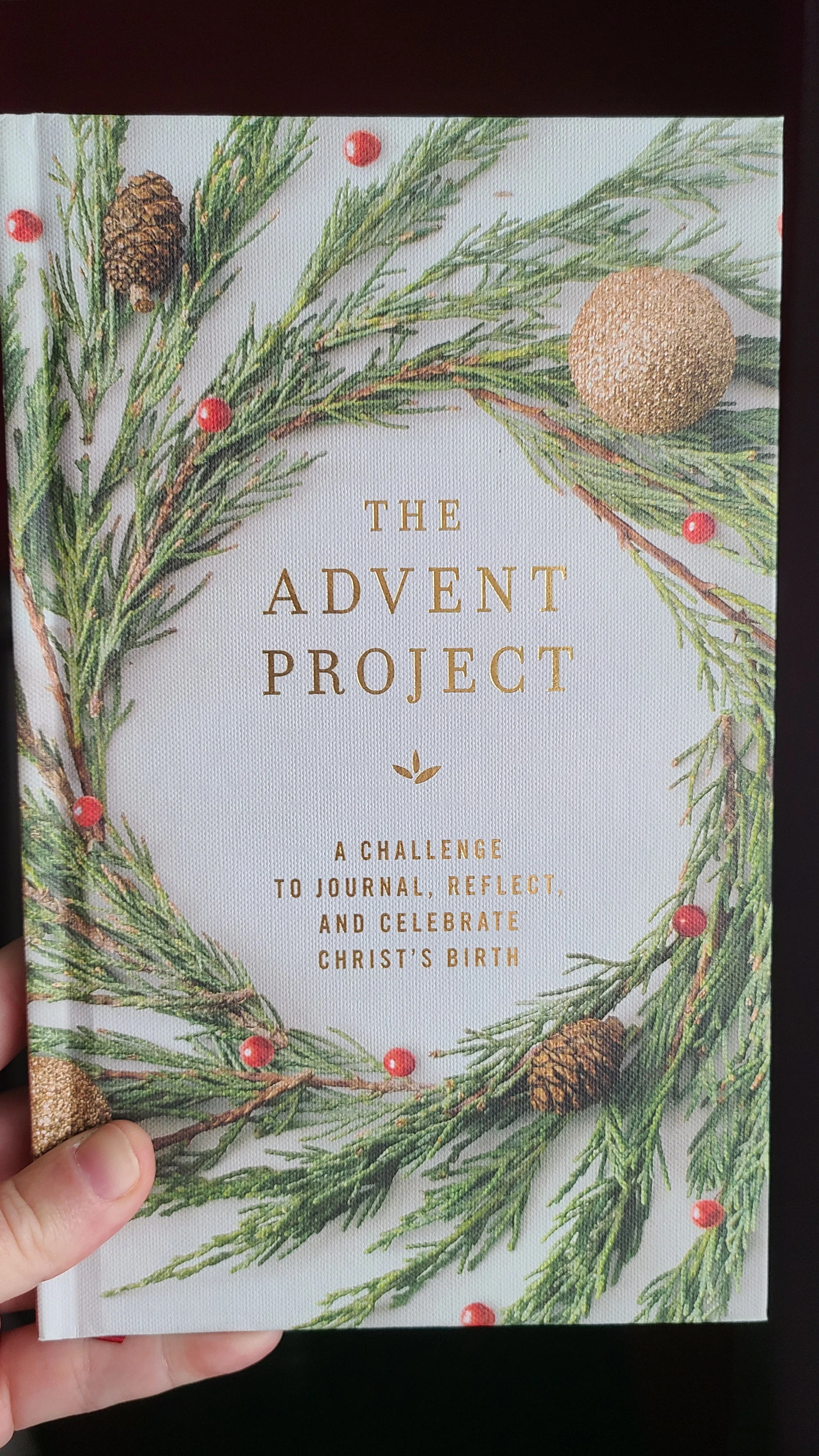 The Advent Project: A Challenge to Journal, Reflect, and Celebrate Christ’s Birth - Image 5