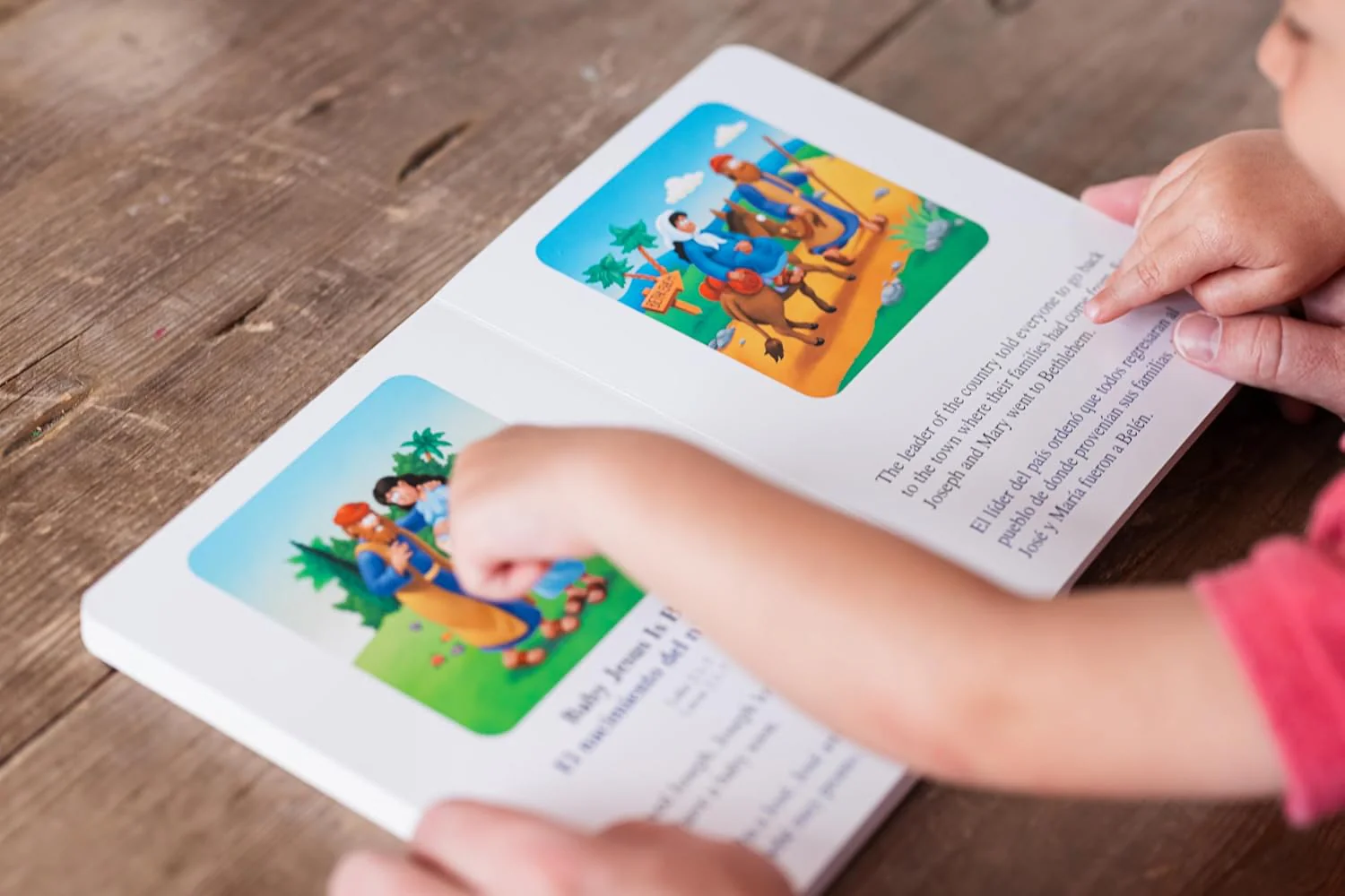The Beginner’s Bible for Little Ones (Bilingual) / La Biblia para principiantes para pequeñitos (Bilingüe): 8 English-Spanish Bilingual Bible Stories - Image 7