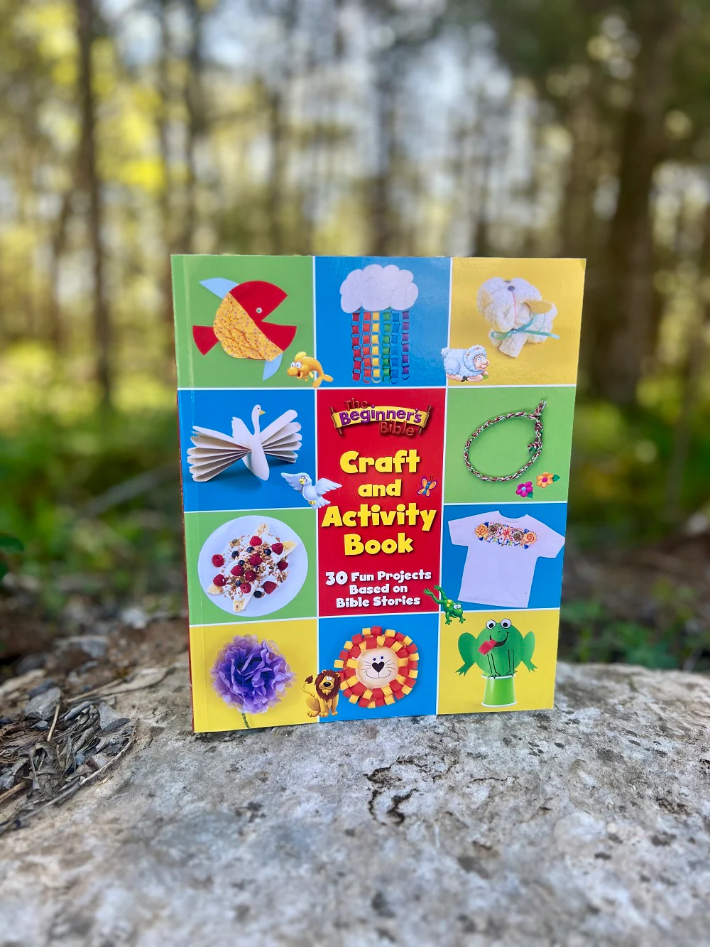 The Beginner's Bible Craft and Activity Book: 30 Fun Projects Based on Bible Stories - Image 5