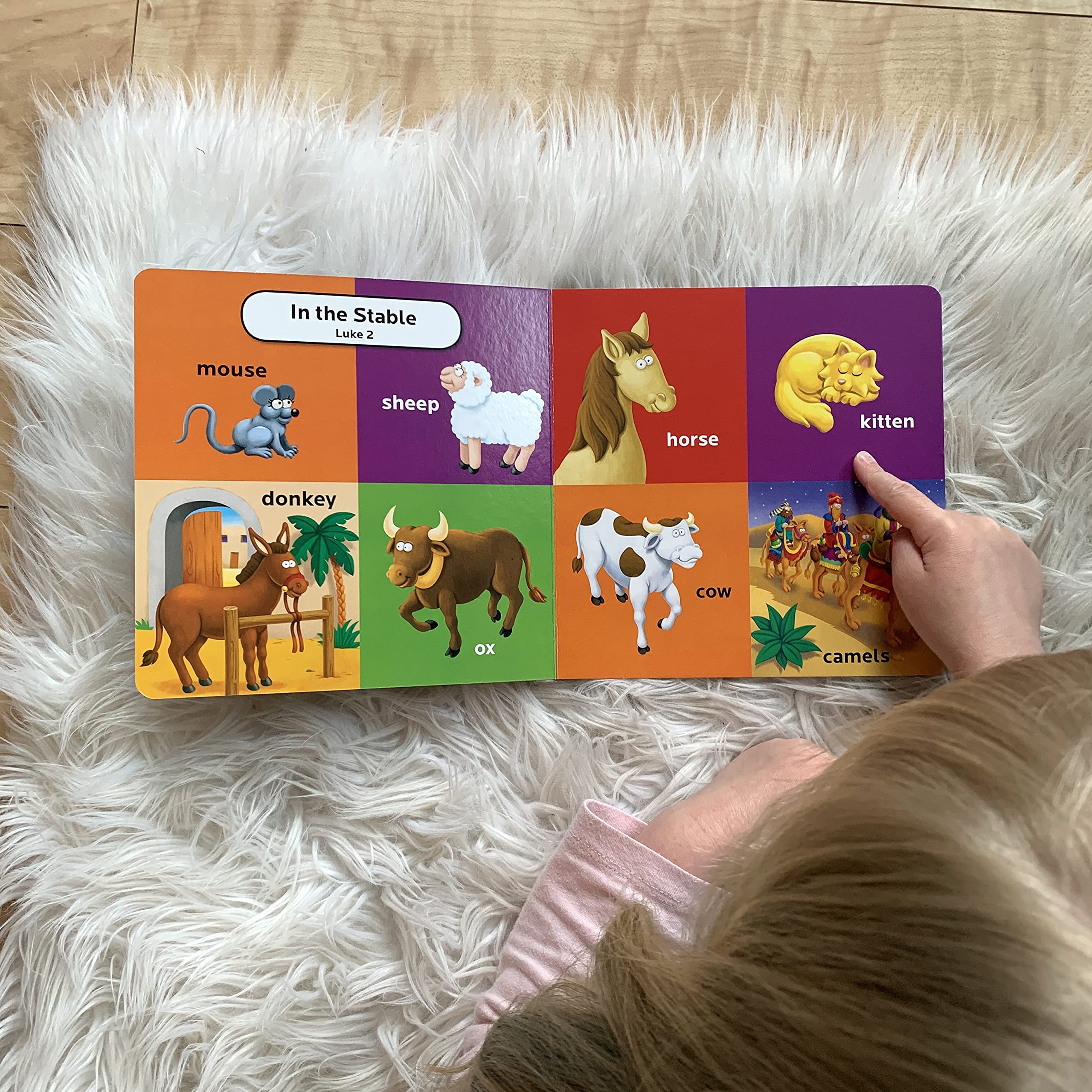 The Beginner's Bible First 100 Animal Words - Image 8