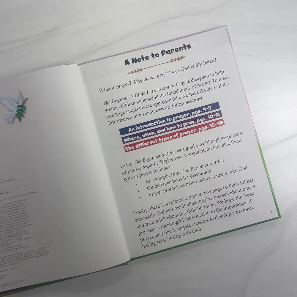 The Beginner's Bible Let's Learn to Pray: Talk to God about Anything and Everything - Image 7