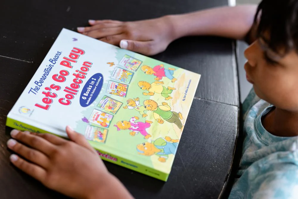 The Berenstain Bears Let's Go Play Collection: 6 Books in 1 - Image 17