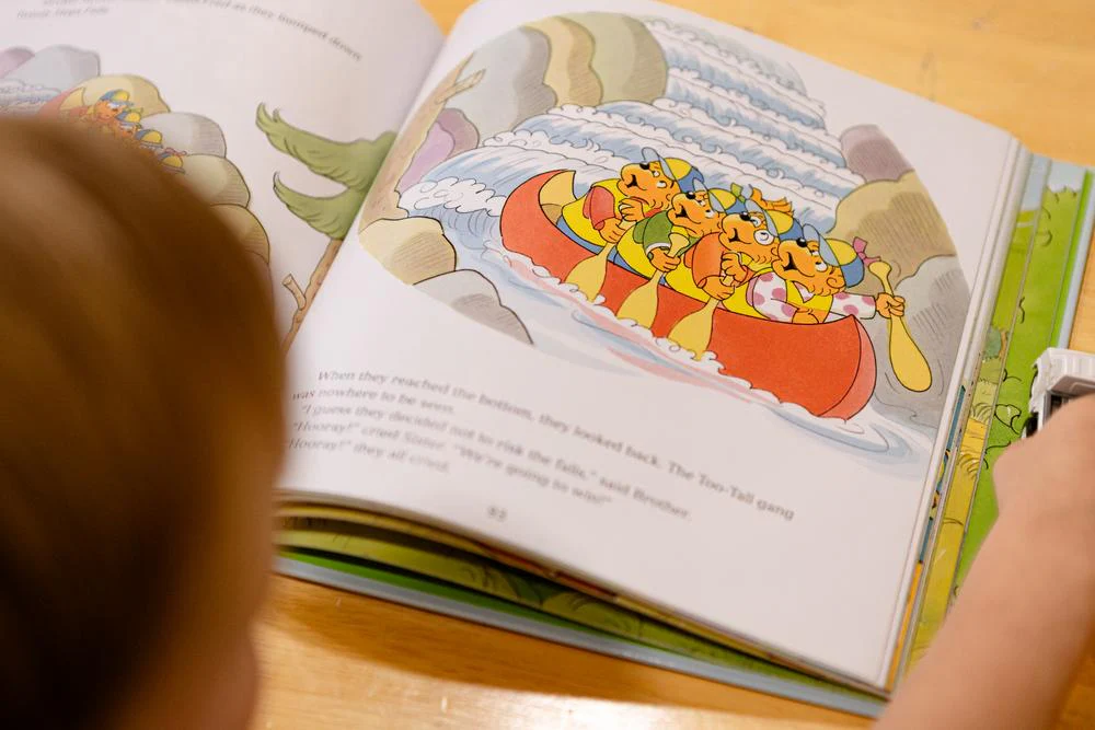 The Berenstain Bears Let's Go Play Collection: 6 Books in 1 - Image 18