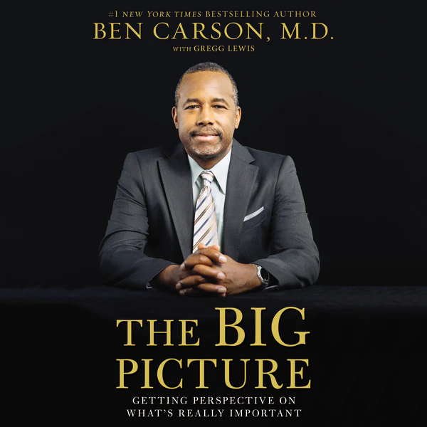The Big Picture: Getting Perspective on What's Really Important - Audiobook (Unabridged)