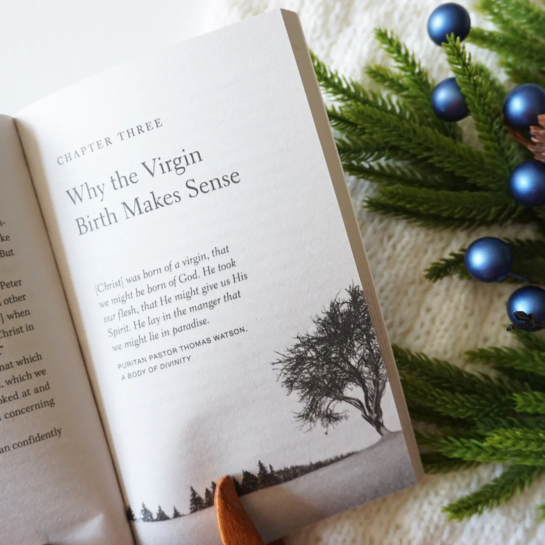 The Case for Christmas Bible Study Guide + Book + Journal Essentials Bundle - Image 6