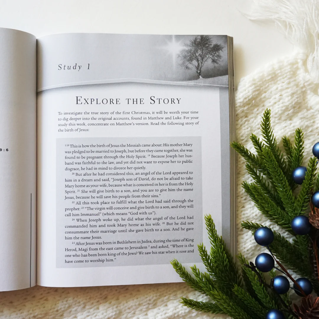 The Case for Christmas Bible Study Guide + Streaming Video, Updated Edition: Evidence for the Identity of Jesus - Image 10