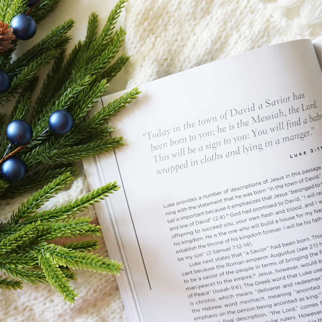 The Case for Christmas Bible Study Guide + Streaming Video, Updated Edition: Evidence for the Identity of Jesus - Image 7