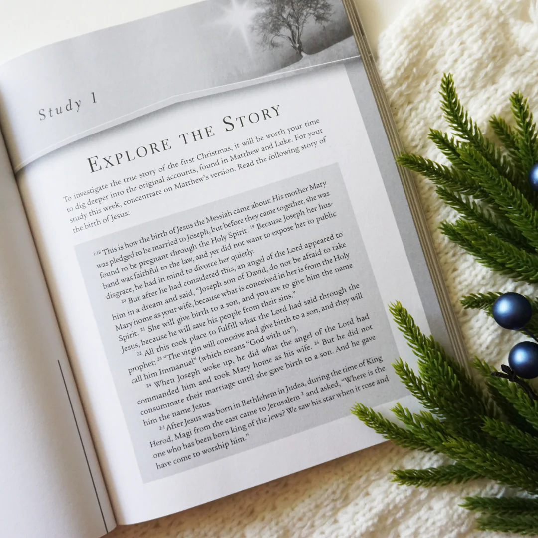 The Case for Christmas Bible Study Guide + Streaming Video, Updated Edition: Evidence for the Identity of Jesus - Image 9