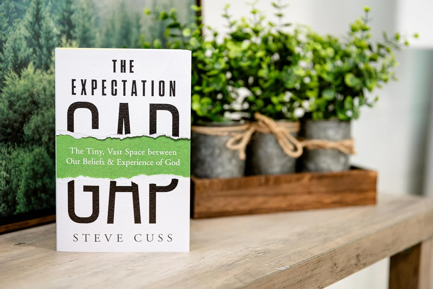 The Expectation Gap: The Tiny, Vast Space between Our Beliefs and Experience of God - Image 7