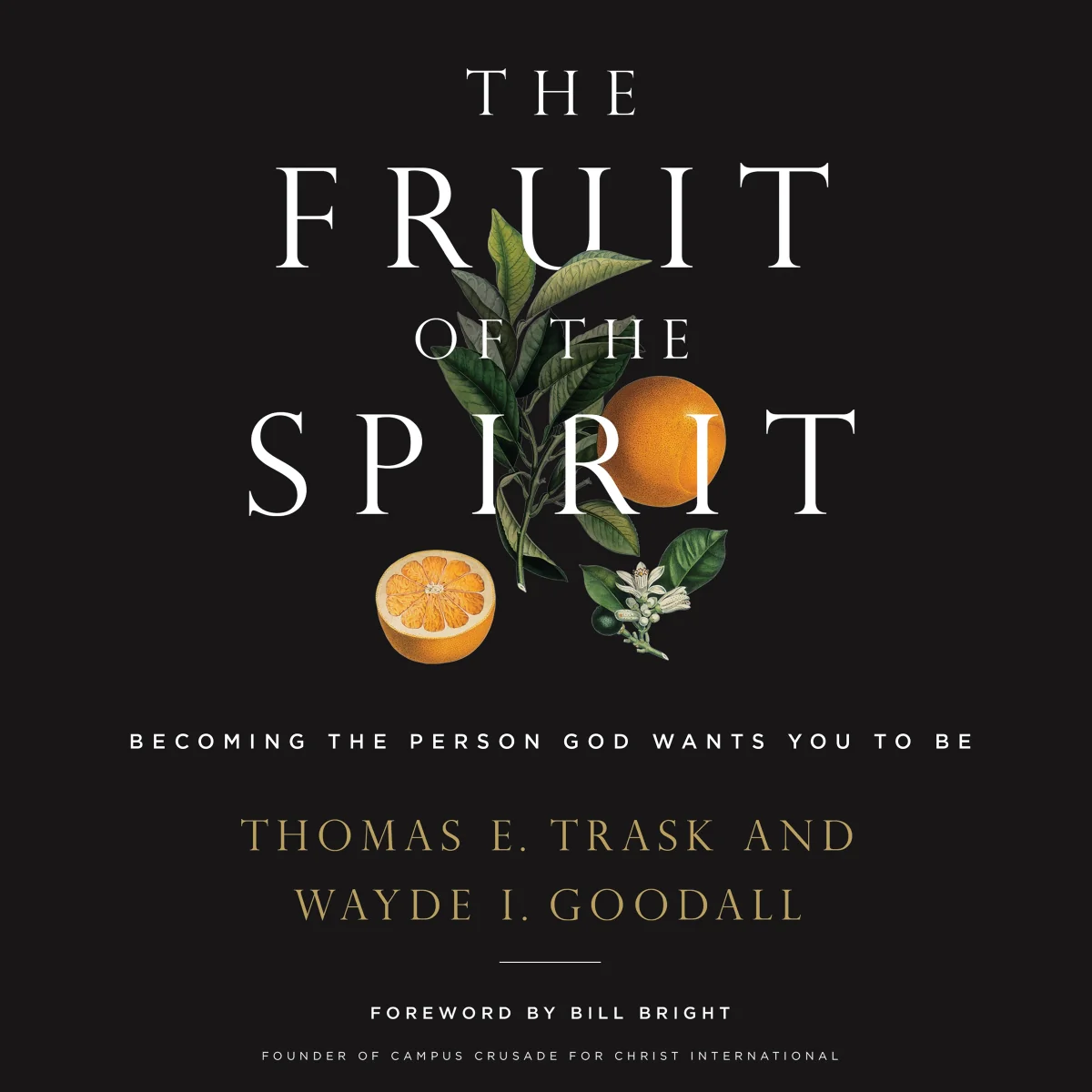 The Fruit of the Spirit: Becoming the Person God Wants You to Be - Audiobook (Unabridged)