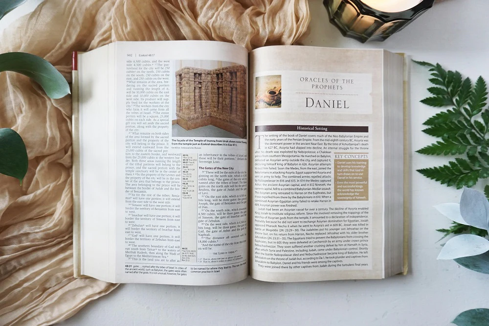 The God of the How and When Study Guide + Book + Bible Bundle - Image 5