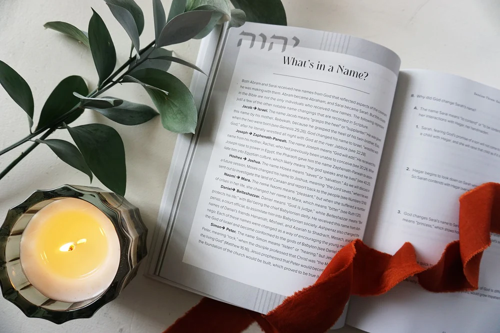 The God of the How and When Study Guide with DVD - Image 3