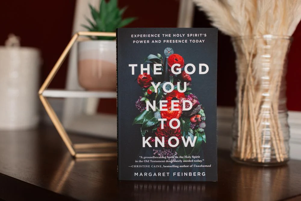 The God You Need to Know Study Guide + Book + Bible Premium Bundle - Image 2
