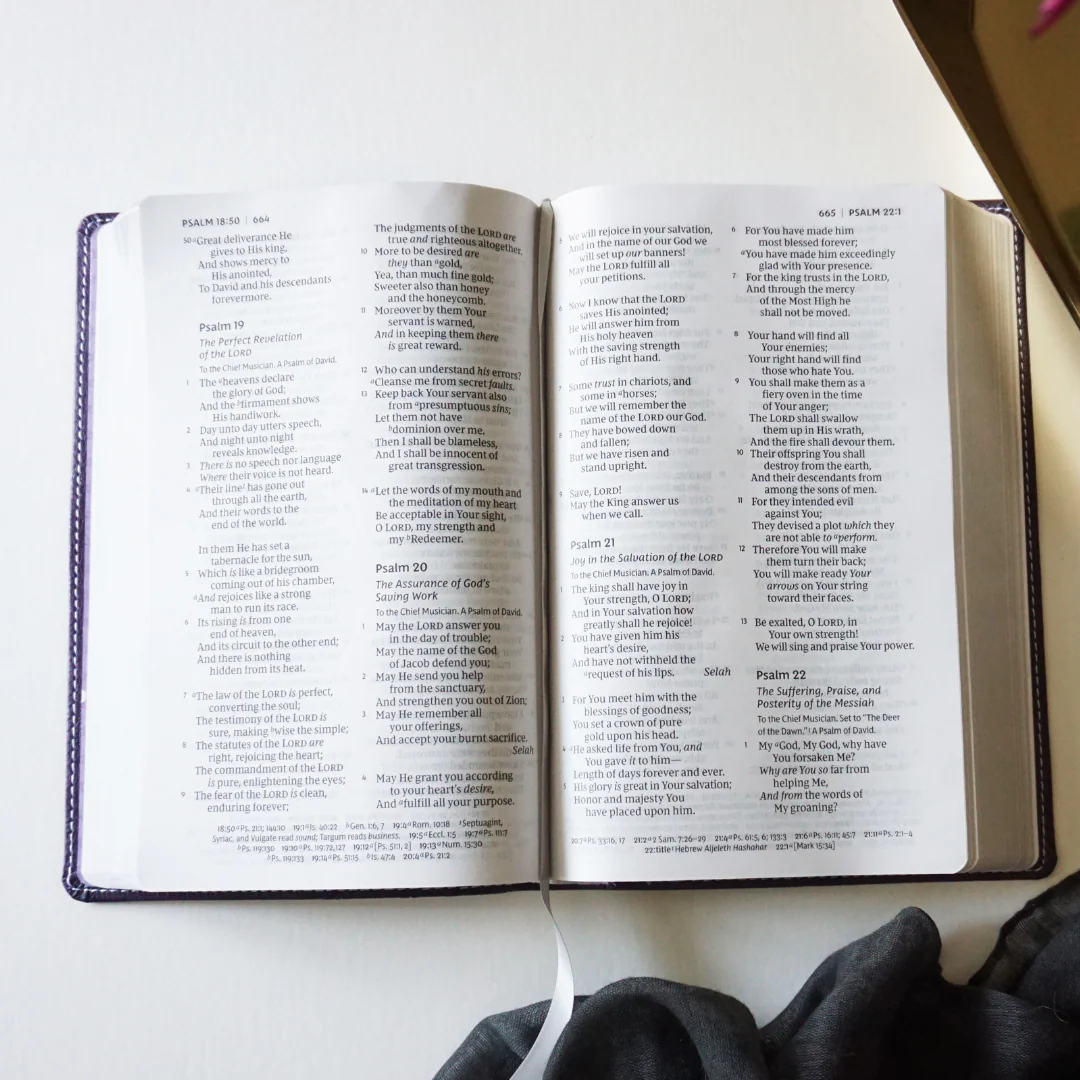 The God You Need to Know Study Guide + Book + Bible Premium Bundle - Image 34