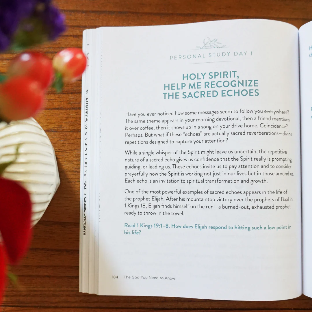 The God You Need to Know Study Guide plus Streaming Video: 12 Practices to Awaken Your Relationship with the Holy Spirit - Image 20