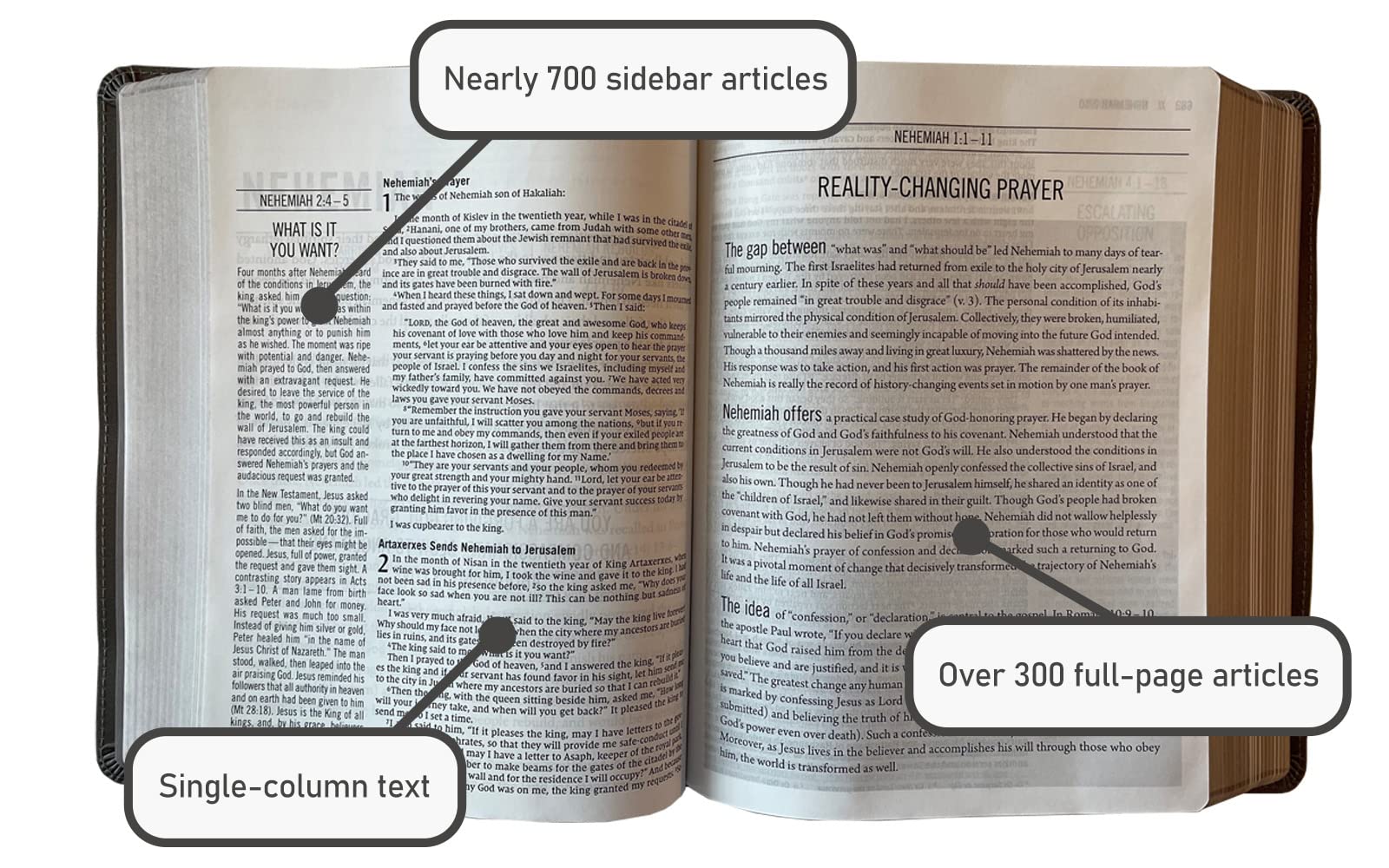 The Jesus Bible Artist Edition, ESV - Image 15