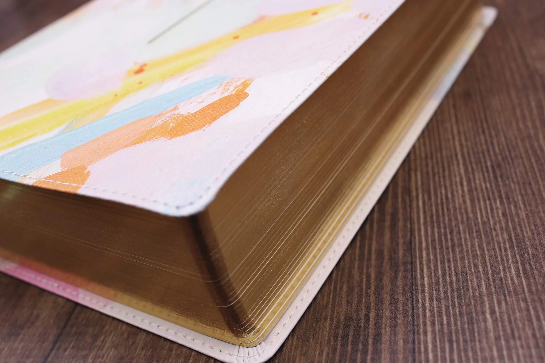 The Jesus Bible Artist Edition, ESV - Image 19
