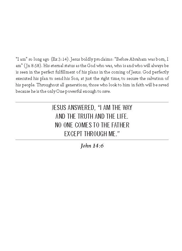 The Jesus Bible Journal, John, NIV, Paperback, Comfort Print - Image 6