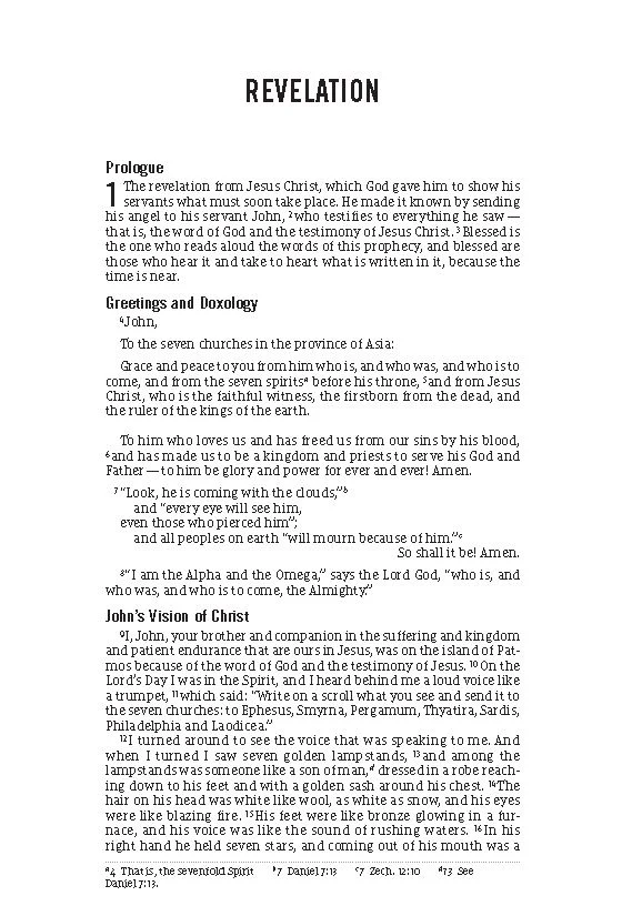 The Jesus Bible Journal, Revelation, NIV, Paperback, Comfort Print - Image 8