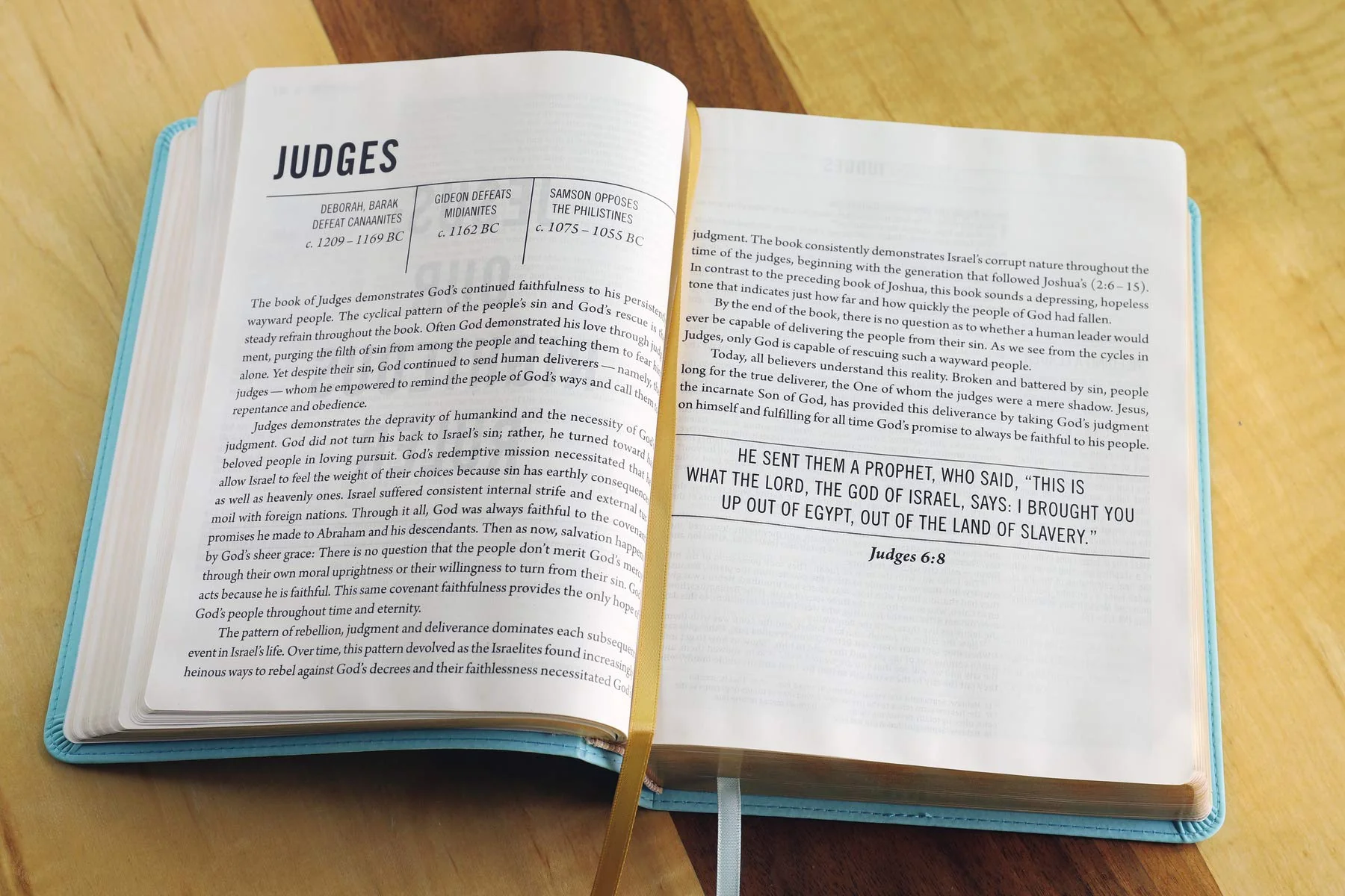The Jesus Bible, NIV Edition, Comfort Print - Image 30