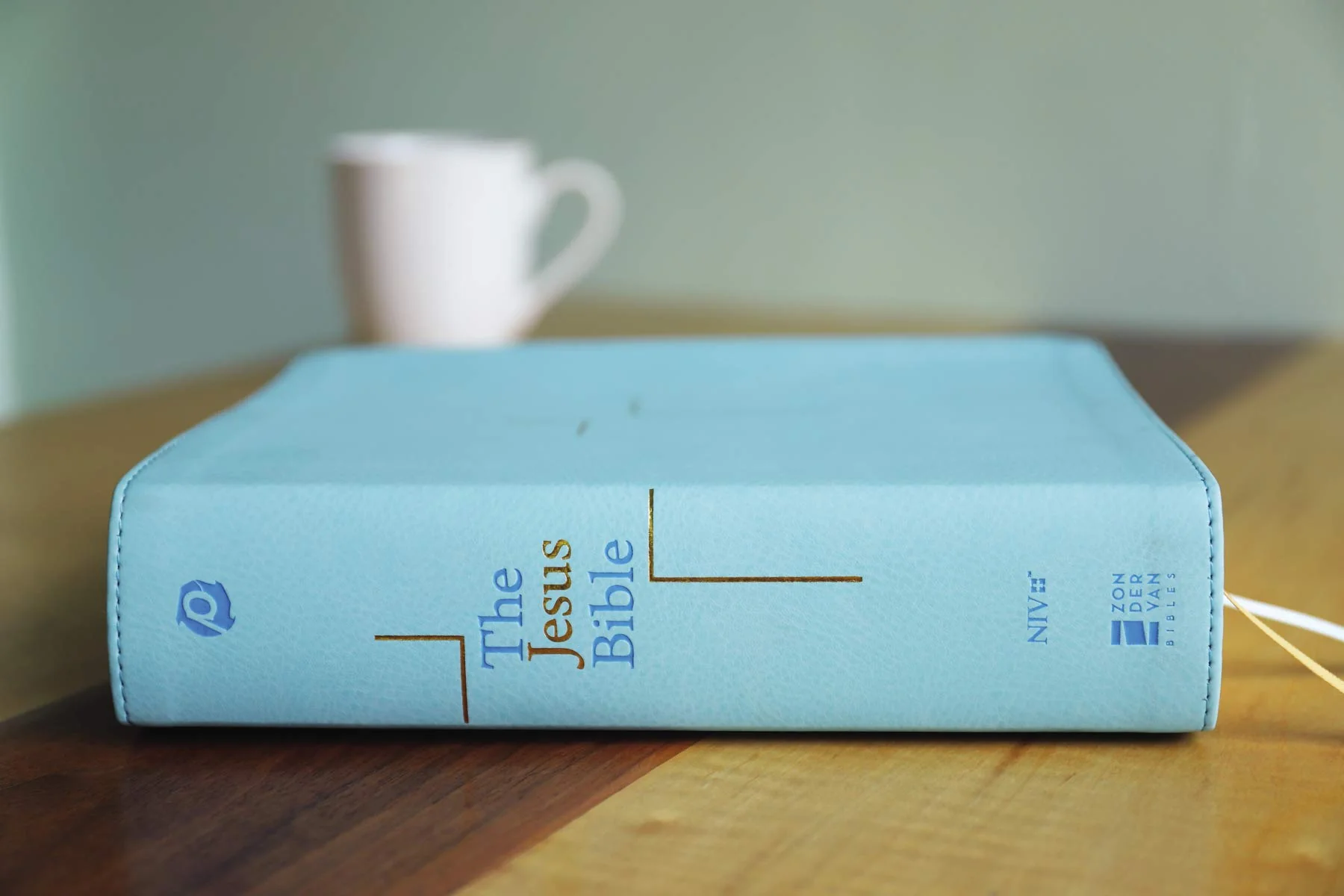 The Jesus Bible, NIV Edition, Comfort Print - Image 32