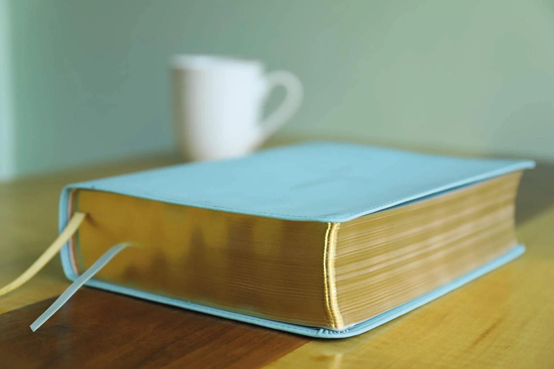 The Jesus Bible, NIV Edition, Comfort Print - Image 33