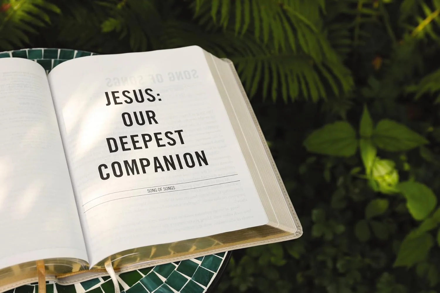The Jesus Bible, NIV Edition, Comfort Print - Image 65