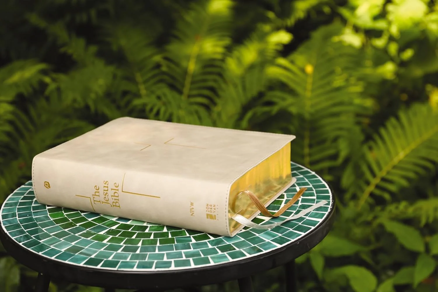 The Jesus Bible, NIV Edition, Comfort Print - Image 72