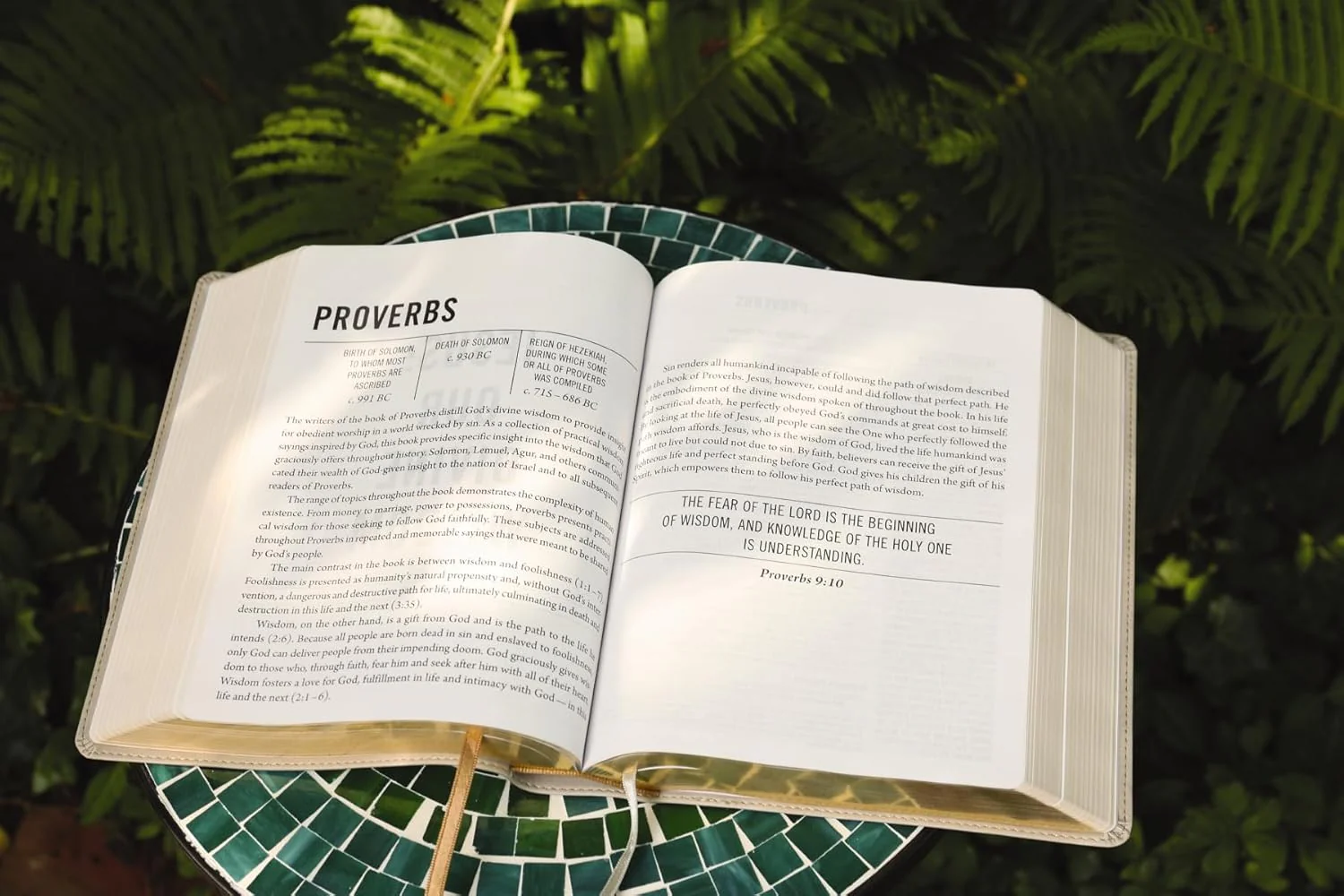 The Jesus Bible, NIV Edition, Comfort Print - Image 73
