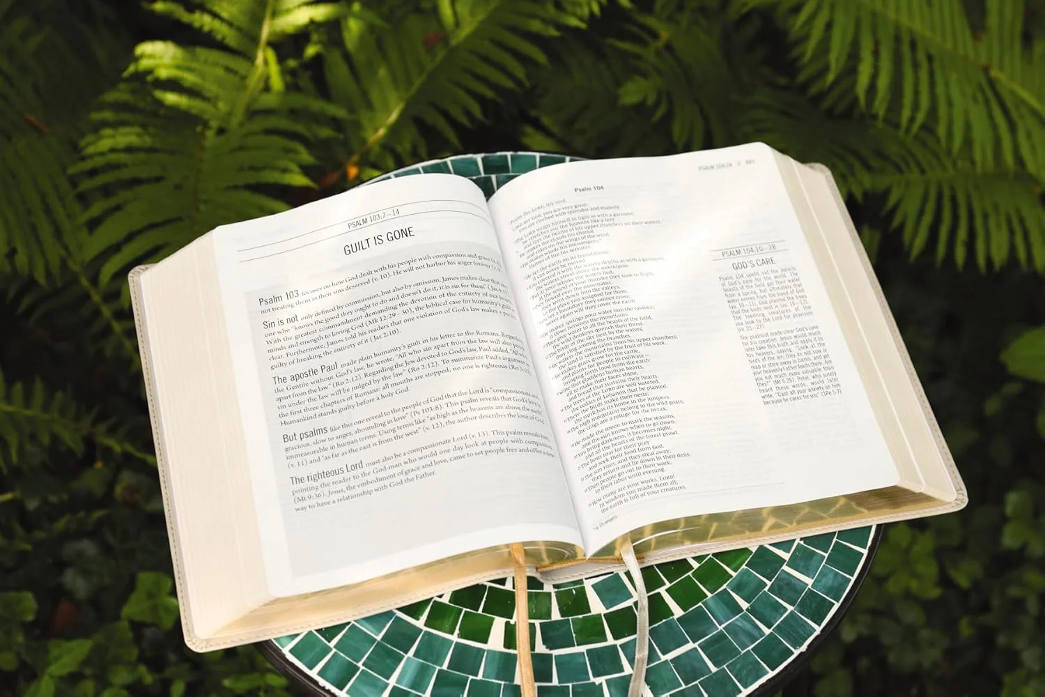 The Jesus Bible, NIV Edition, Comfort Print - Image 75