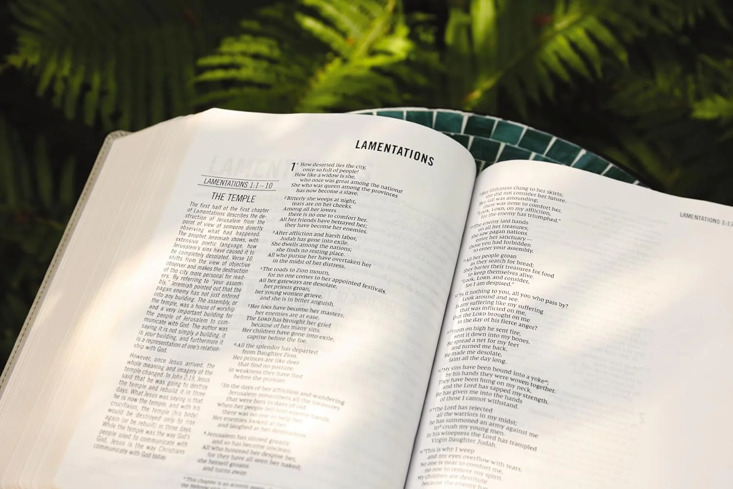The Jesus Bible, NIV Edition, Comfort Print - Image 76