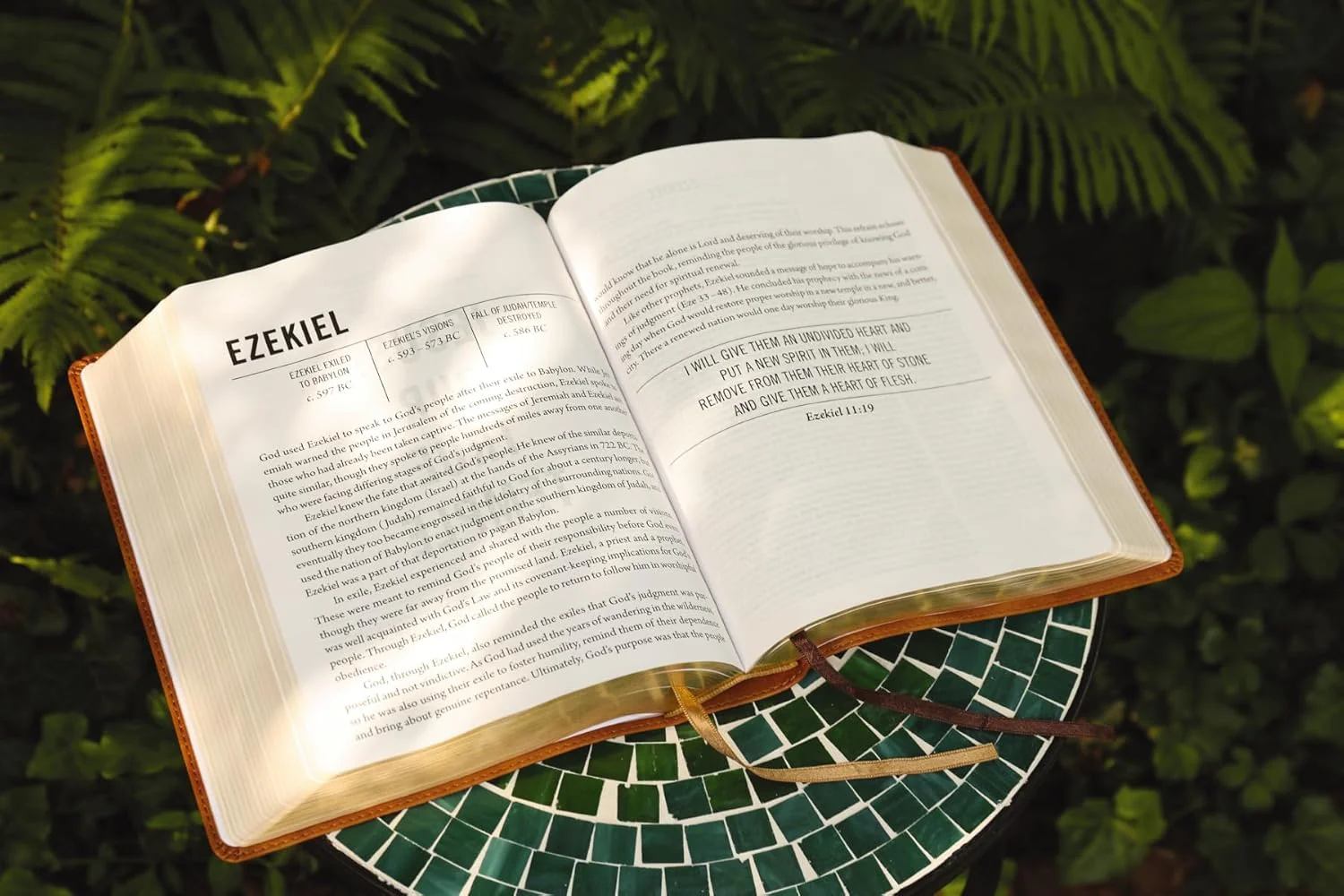 The Jesus Bible, NIV Edition, Comfort Print - Image 79