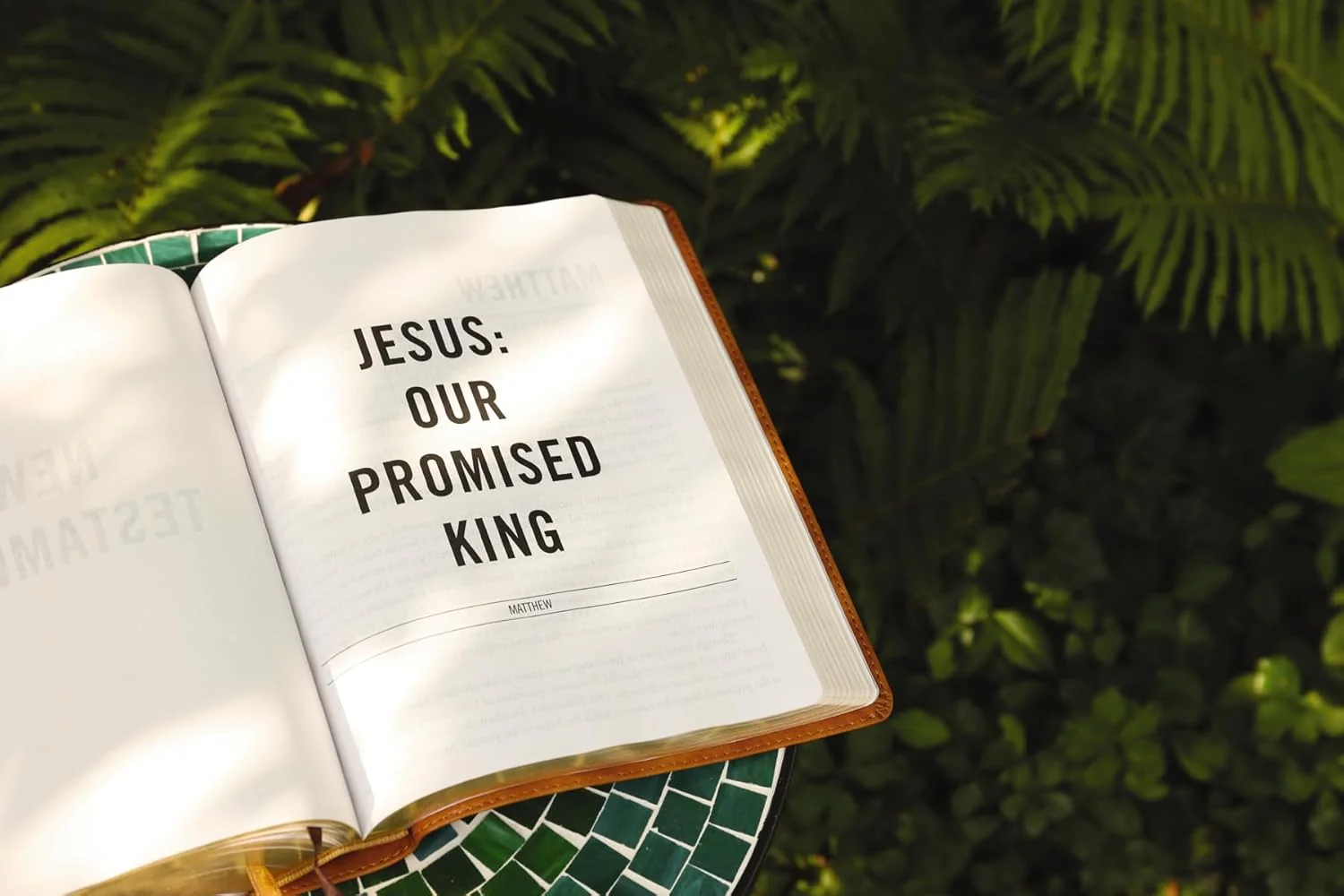 The Jesus Bible, NIV Edition, Comfort Print - Image 83
