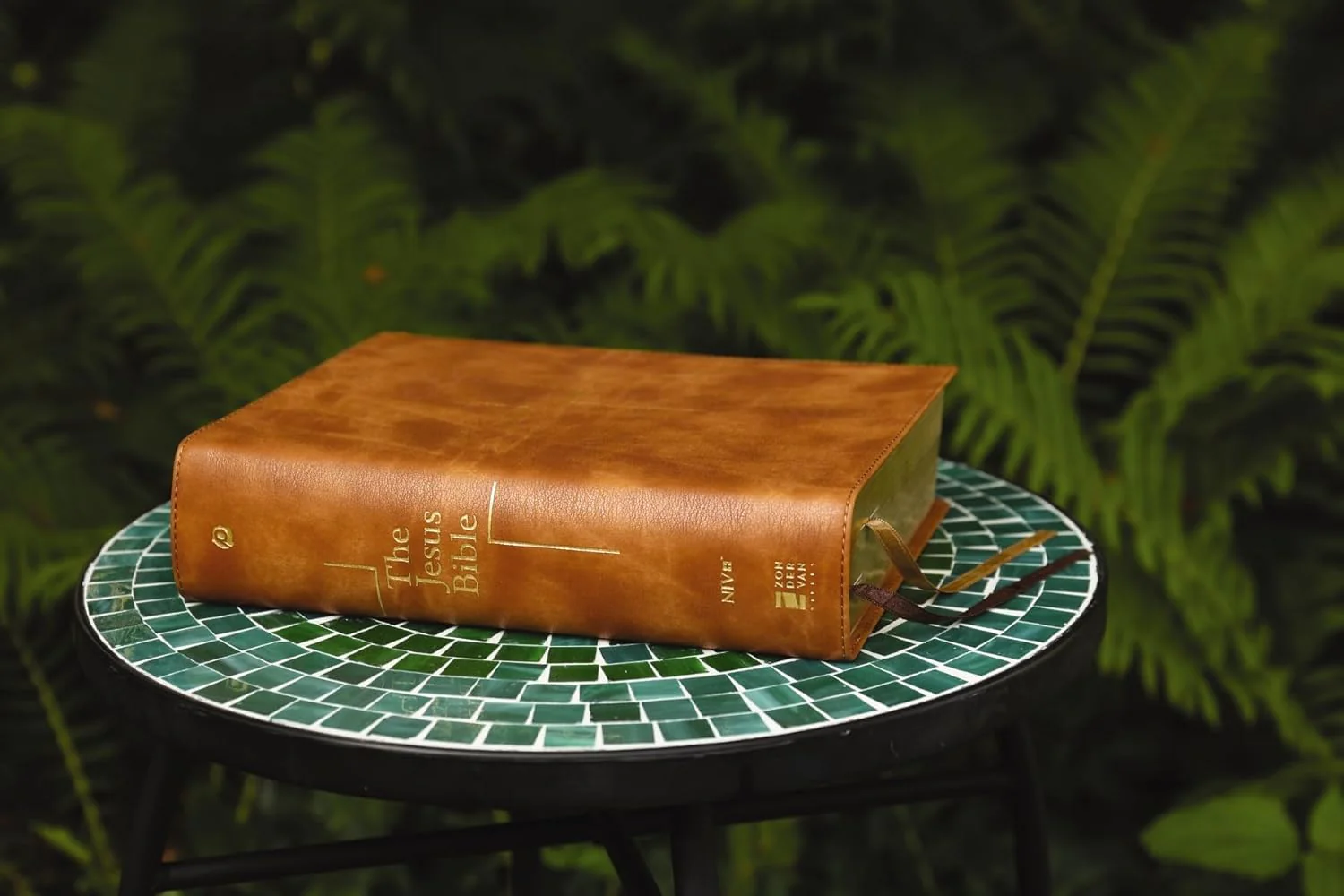The Jesus Bible, NIV Edition, Comfort Print - Image 84