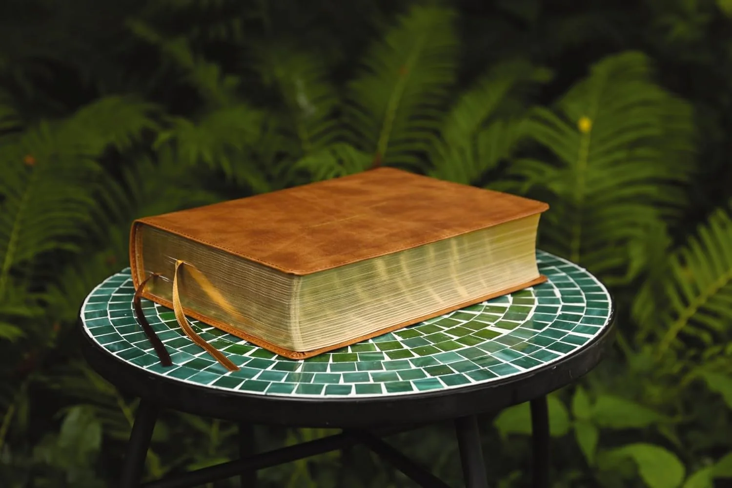 The Jesus Bible, NIV Edition, Comfort Print - Image 86