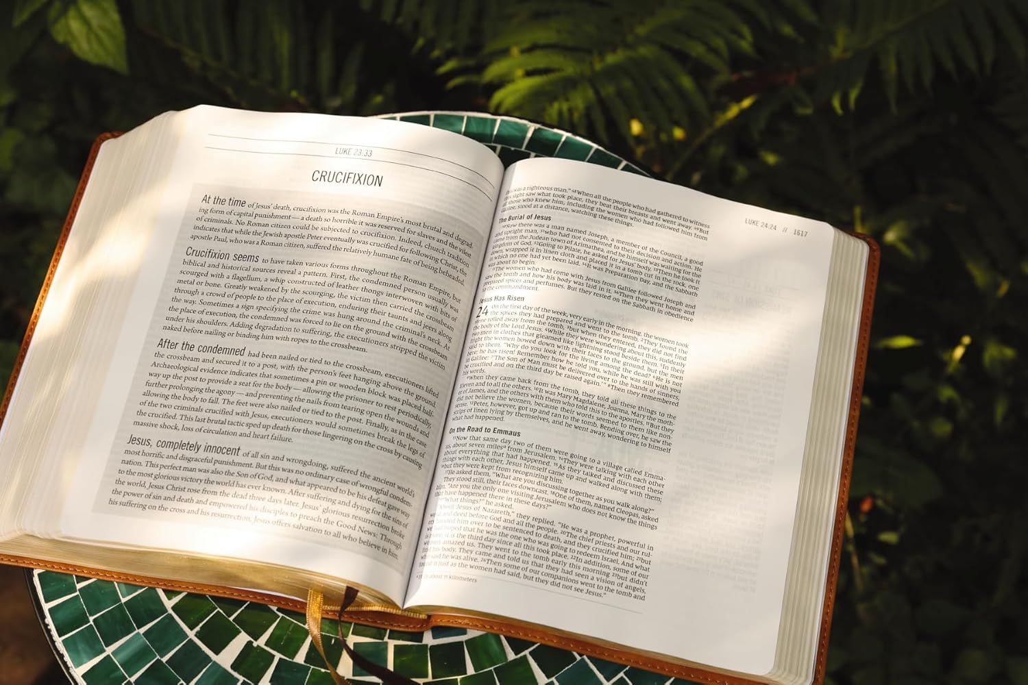 The Jesus Bible, NIV Edition, Comfort Print - Image 89