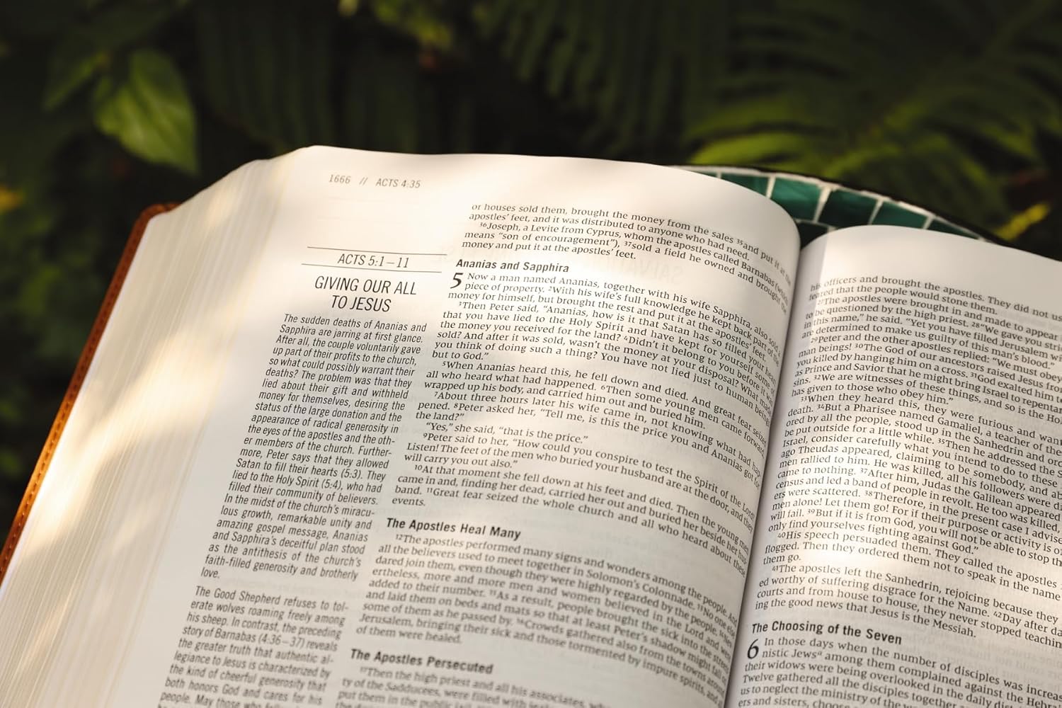 The Jesus Bible, NIV Edition, Comfort Print - Image 90