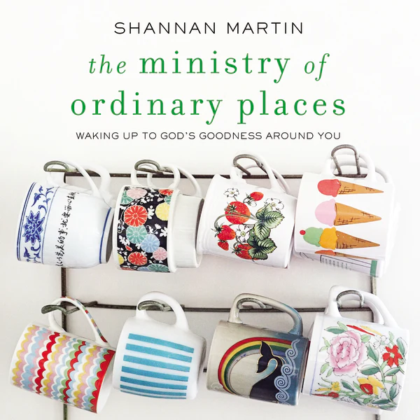 The Ministry of Ordinary Places: Waking Up to God's Goodness Around You - Audiobook (Unabridged)