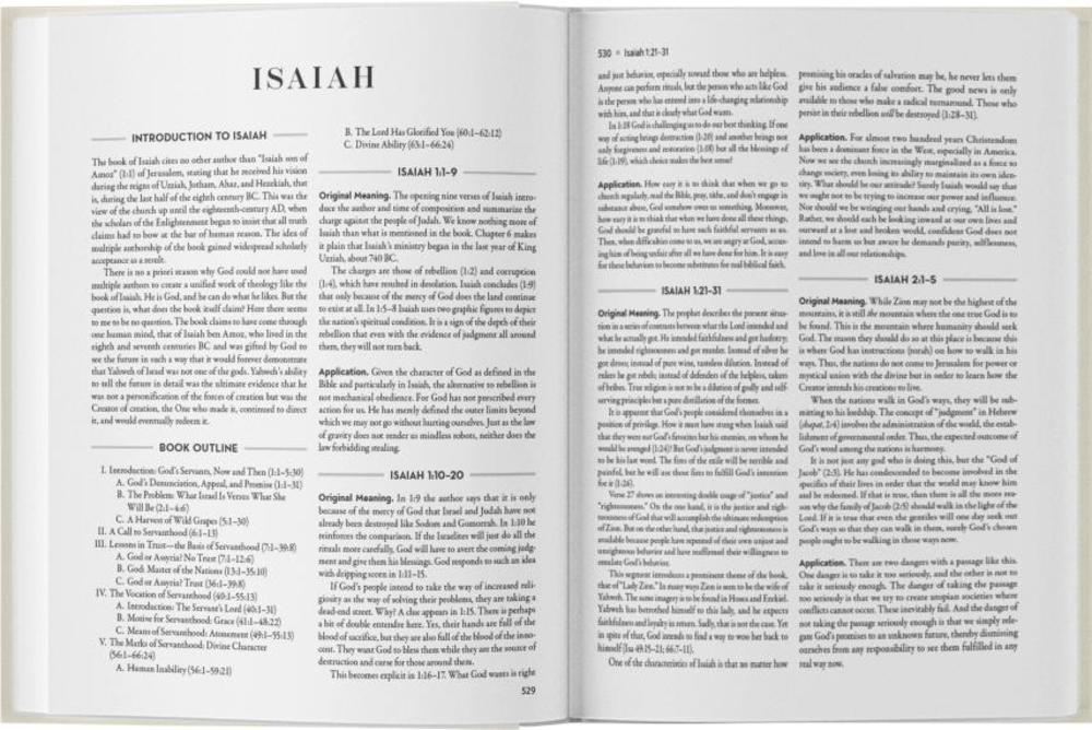 The NIV Application Commentary on the Bible: One-Volume Edition - Image 7