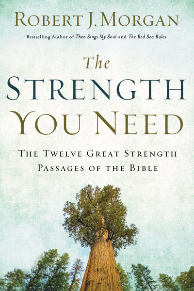 The Strength You Need: The Twelve Great Strength Passages of the Bible - Image 2