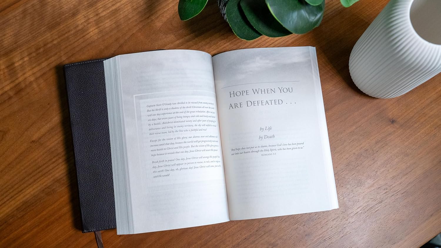 The Vision of His Glory, Revised and Updated: Finding Hope Through the Revelation of Jesus Christ - Image 6