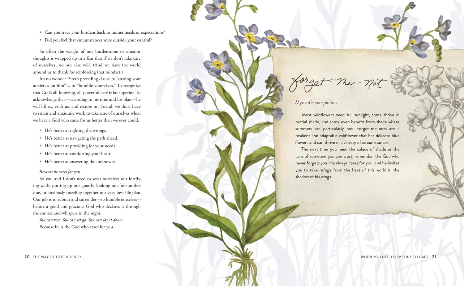 The Way of the Wildflower: Gospel Meditations to Unburden Your Anxious Soul - Image 16