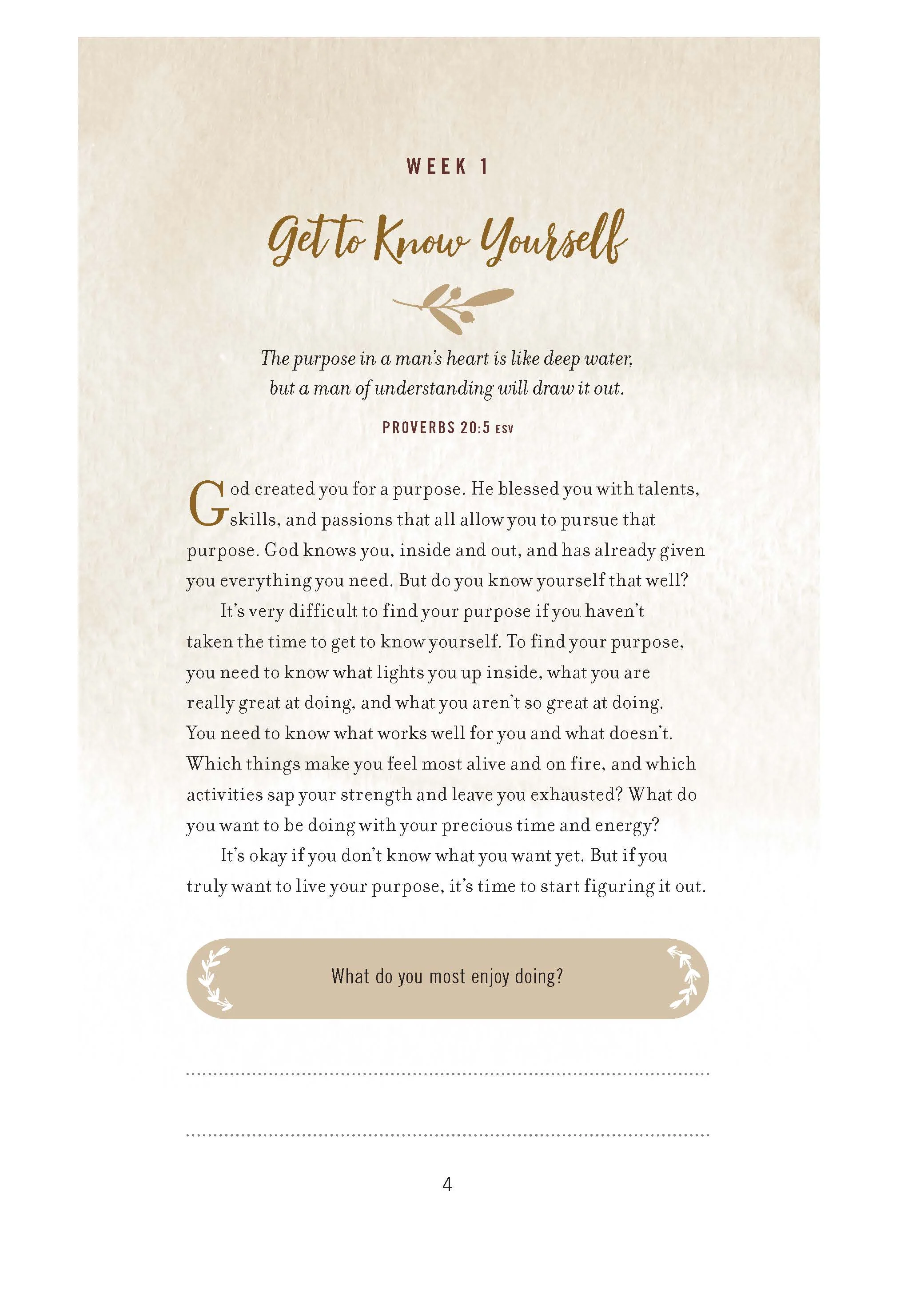 The Weekly Purpose Project: A Challenge to Journal, Reflect, and Pursue Purpose - Image 16