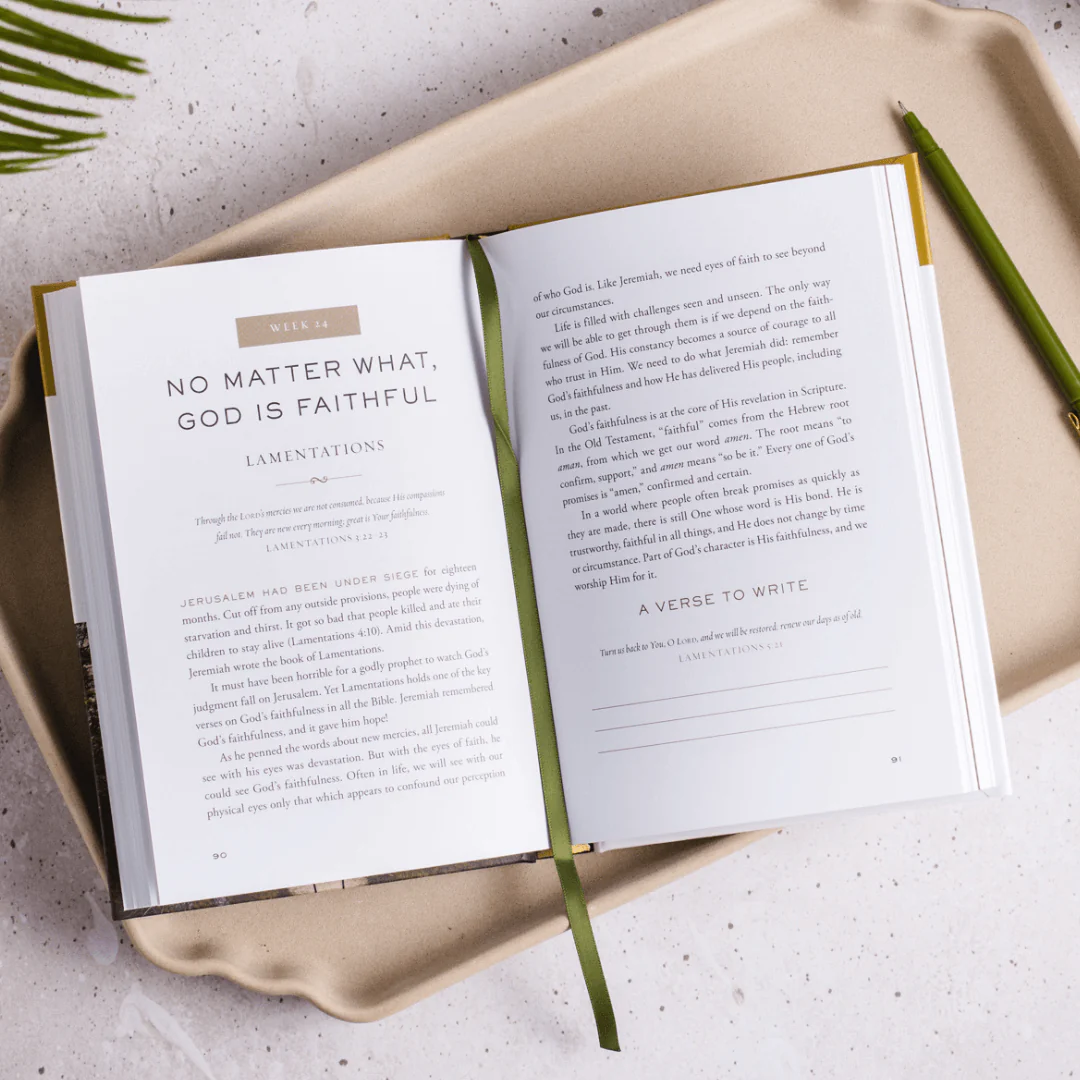 The Whole Story: A 52-Week Devotional Journey Through Every Book of the Bible - Image 6