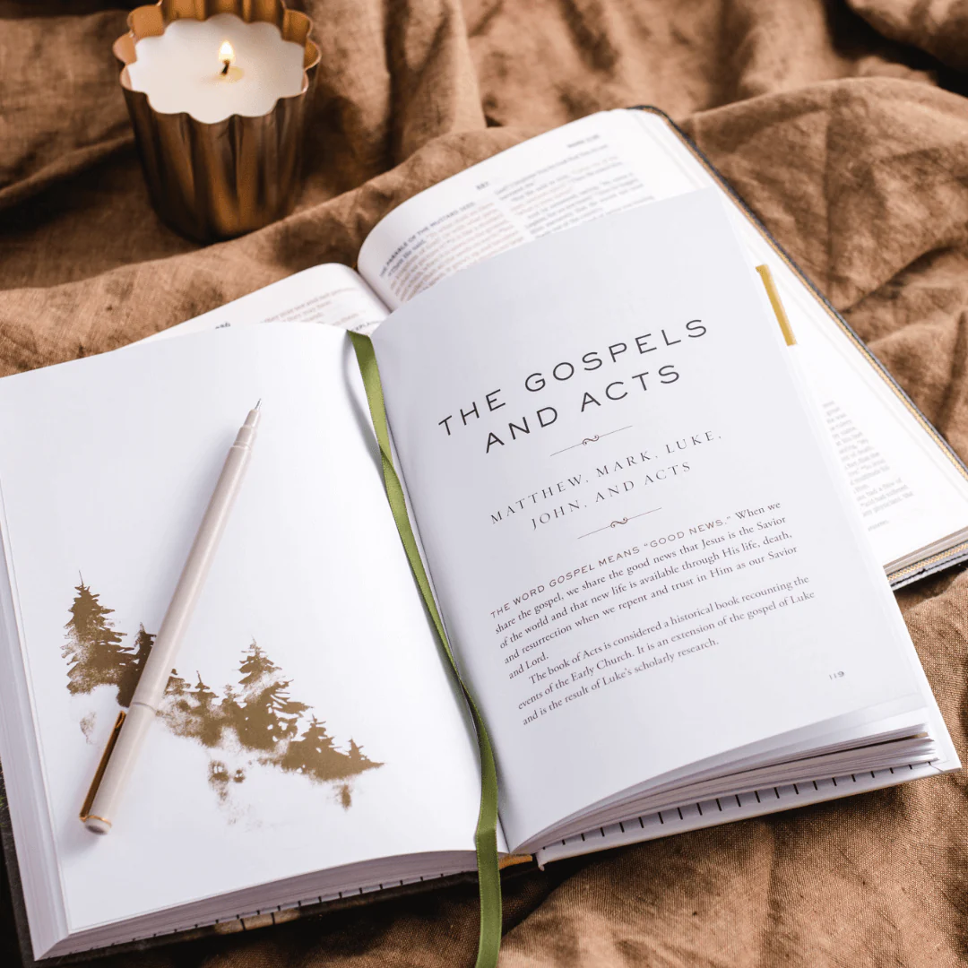 The Whole Story: A 52-Week Devotional Journey Through Every Book of the Bible - Image 8