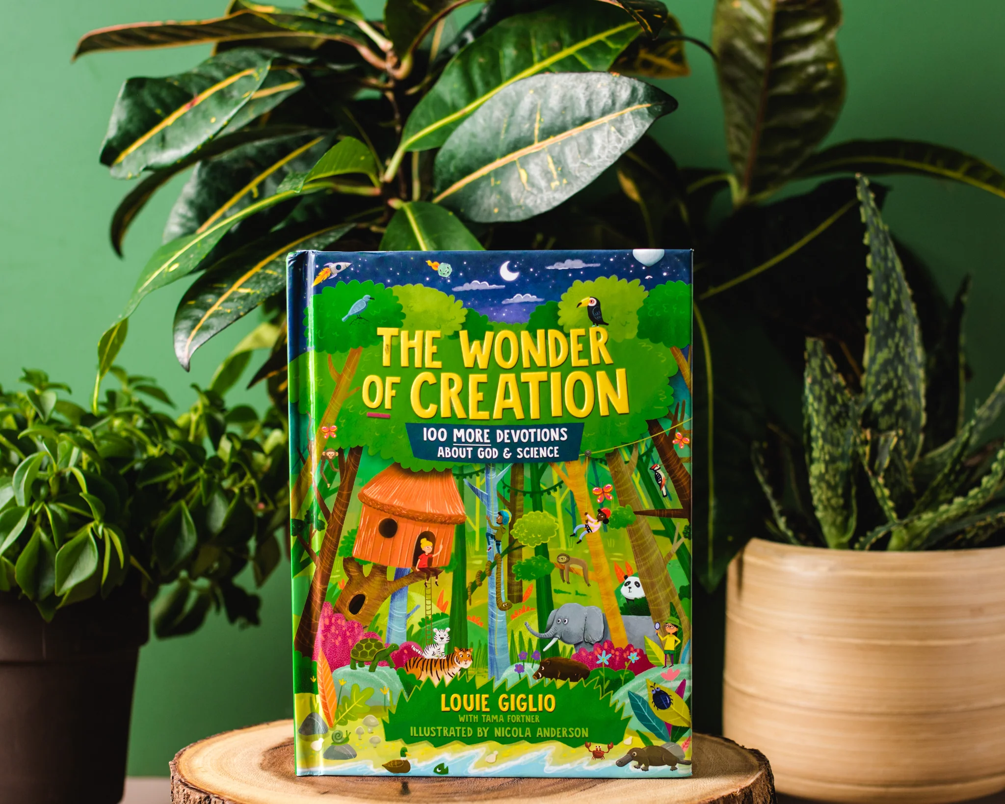 The Wonder of Creation: 100 More Devotions About God and Science - Image 3