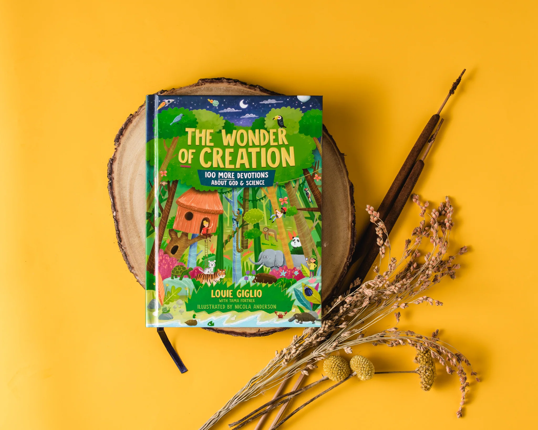 The Wonder of Creation: 100 More Devotions About God and Science - Image 4