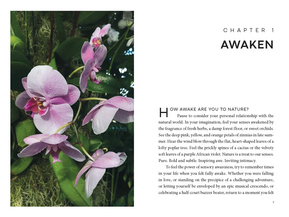 Turn to the Sun: Your Guide to Release Stress and Cultivate Better Health Through Nature - Image 3